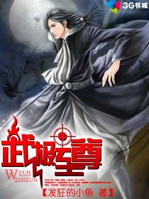 无极至尊