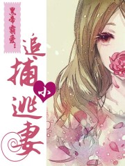黑帝霸爱：追捕小逃妻