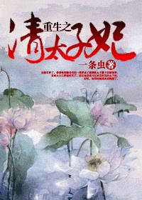 重生之清太子妃