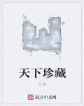 天下珍藏