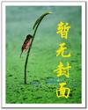 首席霸宠二手妻
