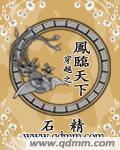 穿越之凤临天下